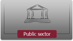 Public sector